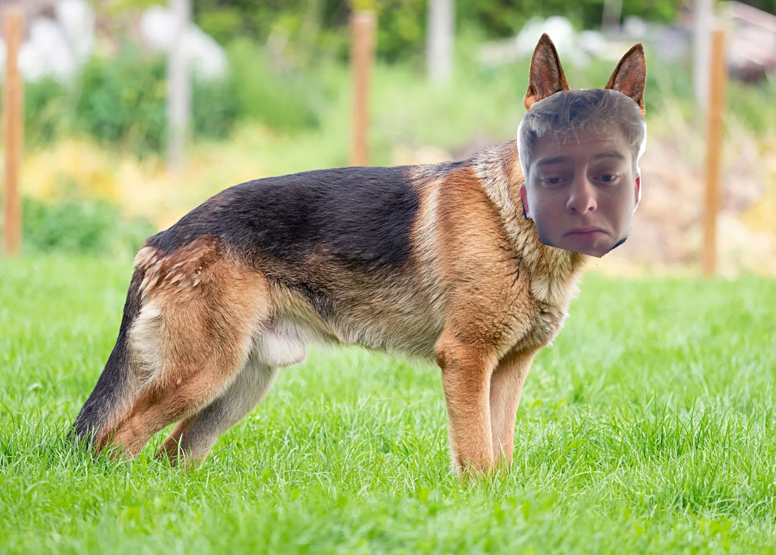 ragnar